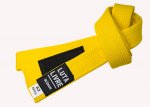 Okami Luta Livre Belt - yellow